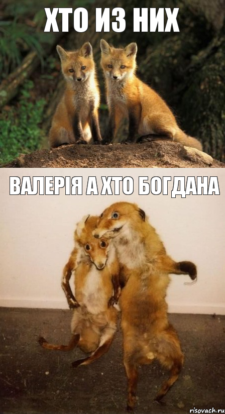 Хто из них Валерія а хто Богдана, Комикс Лисицы
