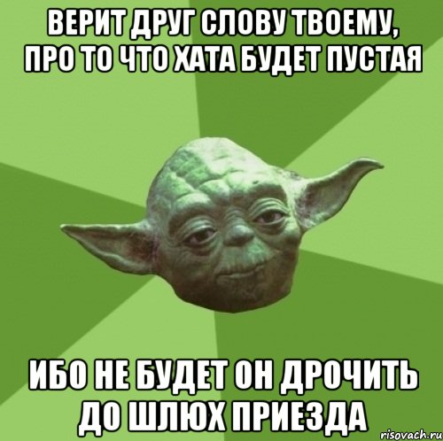 верит друг слову твоему, про то что хата будет пустая ибо не будет он дрочить до шлюх приезда, Мем Мастер Йода