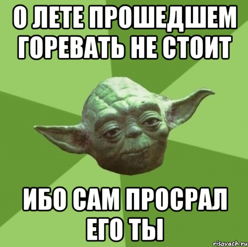 о лете прошедшем горевать не стоит ибо сам просрал его ты, Мем Мастер Йода