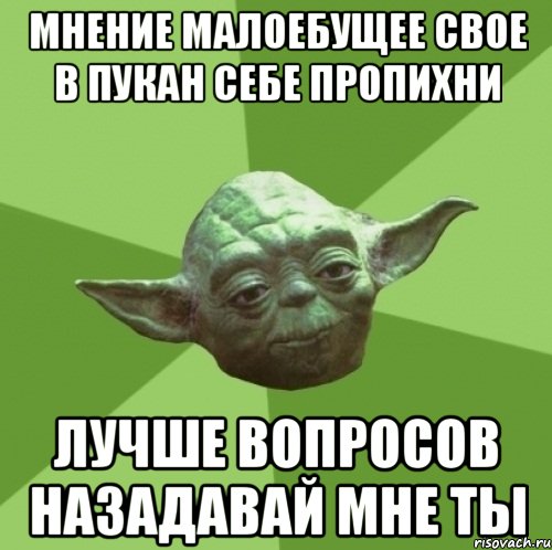 мнение малоебущее свое в пукан себе пропихни лучше вопросов назадавай мне ты, Мем Мастер Йода