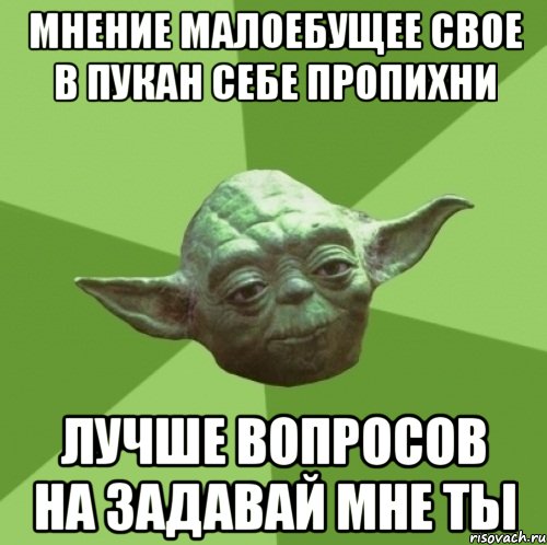 мнение малоебущее свое в пукан себе пропихни лучше вопросов на задавай мне ты, Мем Мастер Йода