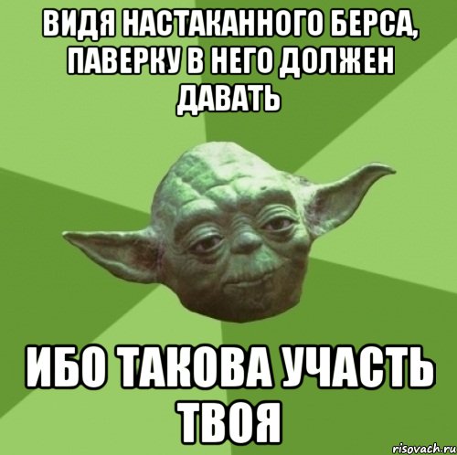 видя настаканного берса, паверку в него должен давать ибо такова участь твоя, Мем Мастер Йода