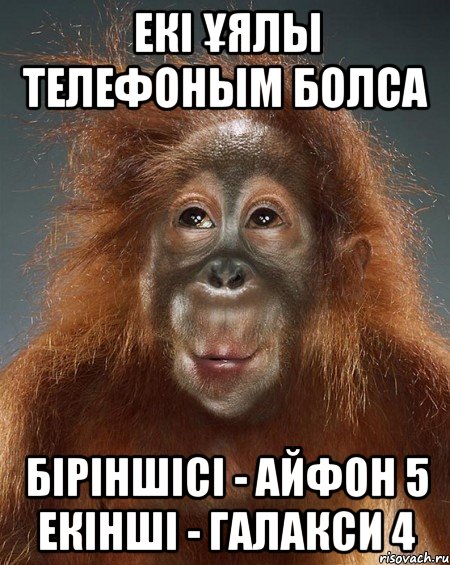екі Ұялы телефоным болса біріншісі - айфон 5 екінші - галакси 4