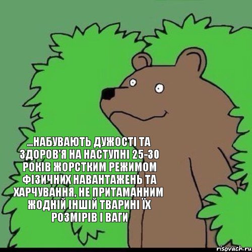 ...набувають дужості та здоров'я на наступні 25-30 років жорстким режимом фізичних навантажень та харчування, не притаманним жодній іншій тварині їх розмірів і ваги, Комикс Медведь уч0ный