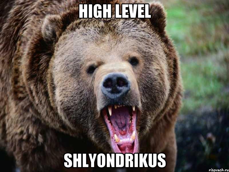 high level shlyondrikus, Мем Медведь