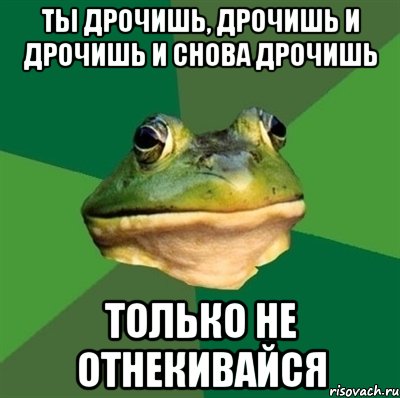 ты дрочишь, дрочишь и дрочишь и снова дрочишь только не отнекивайся, Мем  Мерзкая жаба