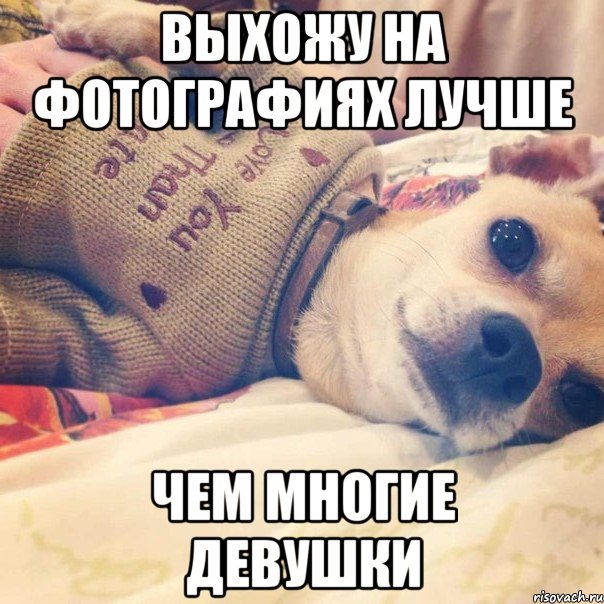выхожу на фотографиях лучше чем многие девушки, Мем Мимими dog