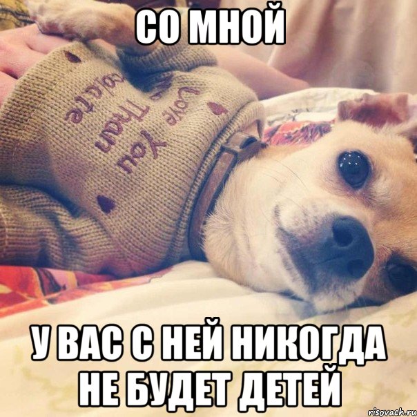 со мной у вас с ней никогда не будет детей, Мем Мимими dog
