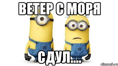 ветер с моря сдул...., Мем Миньоны