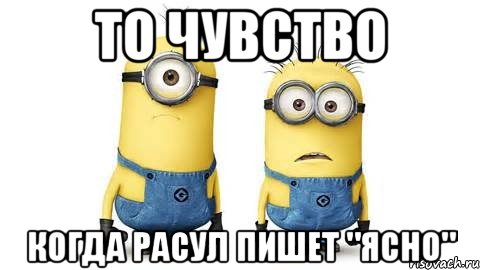 то чувство когда расул пишет "ясно", Мем Миньоны