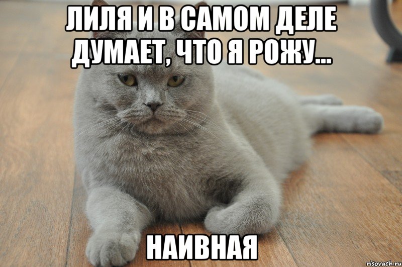 лиля и в самом деле думает, что я рожу... наивная, Мем Миша