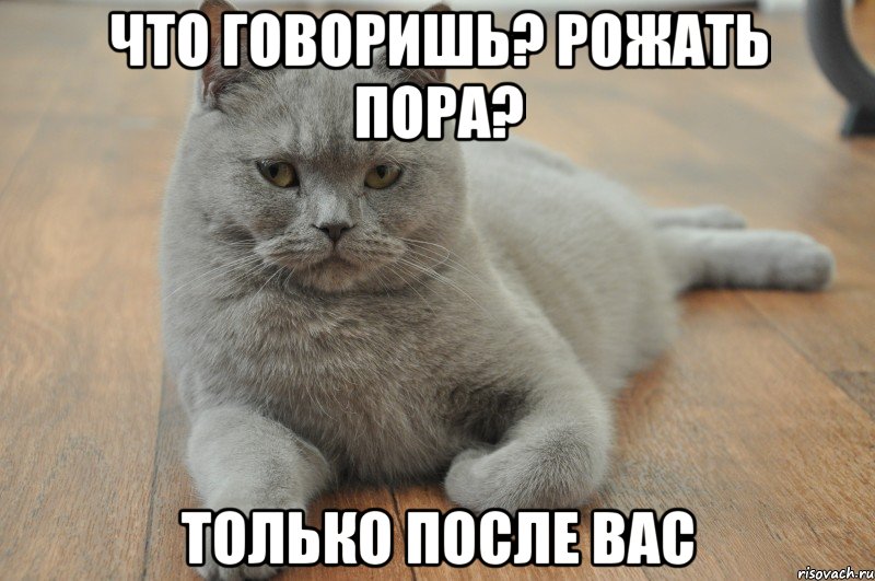 что говоришь? рожать пора? только после вас, Мем Миша