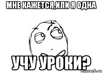 мне кажется,или я одна учу уроки?, Мем Мне кажется или