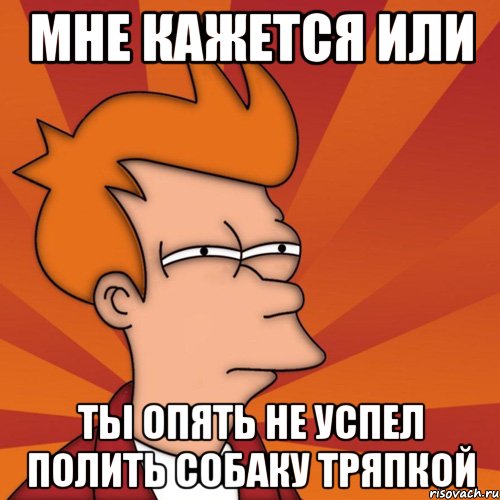 мне кажется или ты опять не успел полить собаку тряпкой, Мем Мне кажется или (Фрай Футурама)