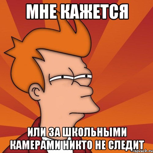 мне кажется или за школьными камерами никто не следит, Мем Мне кажется или (Фрай Футурама)