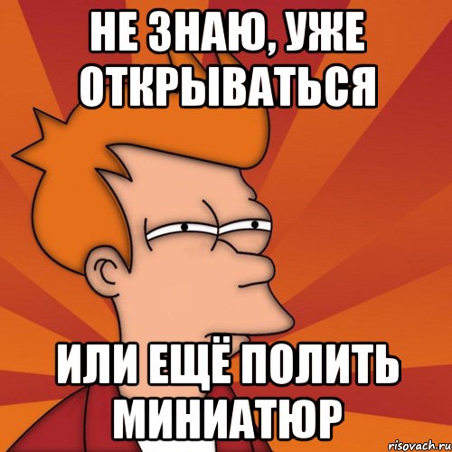 не знаю, уже открываться или ещё полить миниатюр, Мем Мне кажется или (Фрай Футурама)