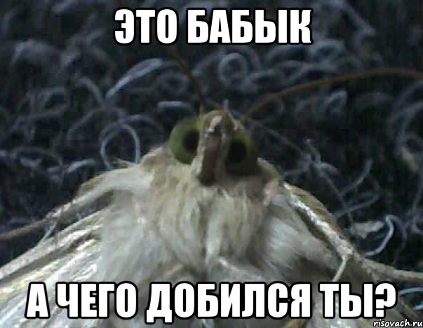 это бабык а чего добился ты?, Мем Мнительный бабык