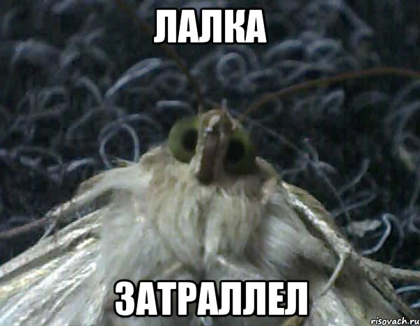 лалка затраллел