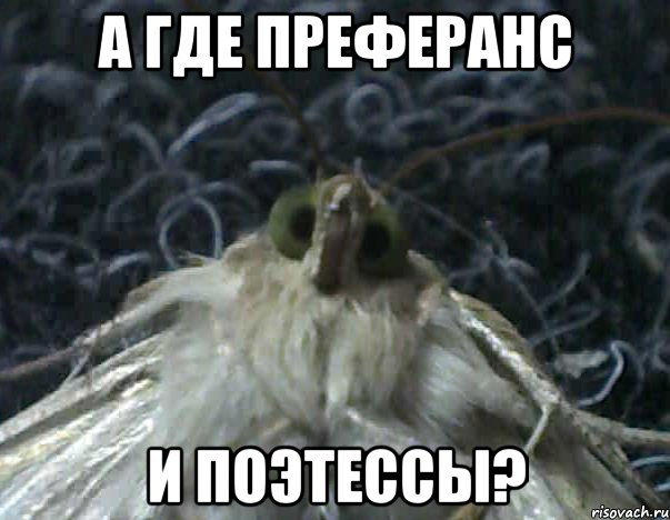 а где преферанс и поэтессы?