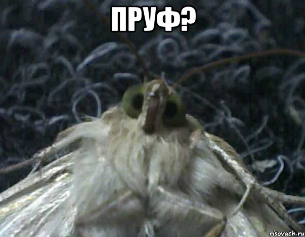 пруф? 