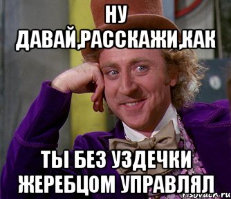 ну давай,расскажи,как ты без уздечки жеребцом управлял, Мем мое лицо