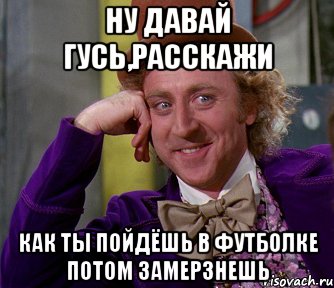 ну давай гусь,расскажи как ты пойдёшь в футболке потом замерзнешь, Мем мое лицо