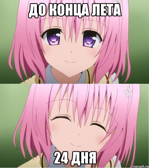 до конца лета 24 дня, Мем Момо