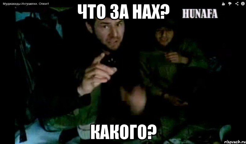 что за нах? какого?, Мем муджахид Ингушетии