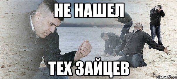 не нашел тех зайцев