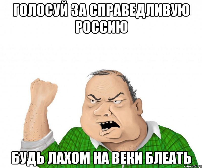 голосуй за справедливую россию будь лахом на веки блеать, Мем мужик