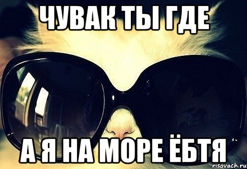 чувак ты где а я на море ёбтя, Мем МЯУС