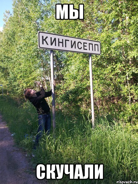 мы скучали, Мем налоалн