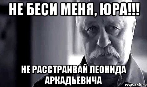 не беси меня, юра!!! не расстраивай леонида аркадьевича, Мем Не огорчай Леонида Аркадьевича