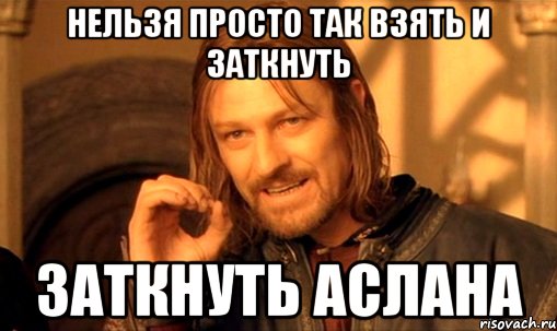 нельзя просто так взять и заткнуть заткнуть аслана, Мем Нельзя просто так взять и (Боромир мем)