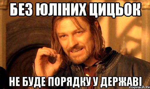 без юліних цицьок не буде порядку у державі, Мем Нельзя просто так взять и (Боромир мем)