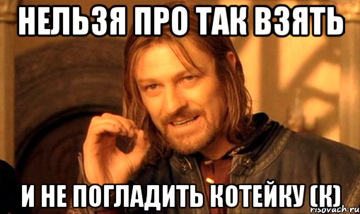 нельзя про так взять и не погладить котейку (к), Мем Нельзя просто так взять и (Боромир мем)