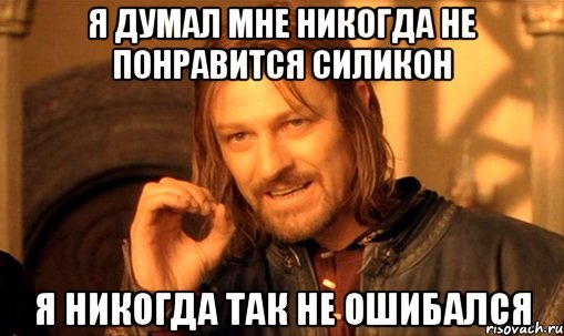 я думал мне никогда не понравится силикон я никогда так не ошибался, Мем Нельзя просто так взять и (Боромир мем)