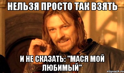 нельзя просто так взять и не сказать: "мася мой любимый", Мем Нельзя просто так взять и (Боромир мем)