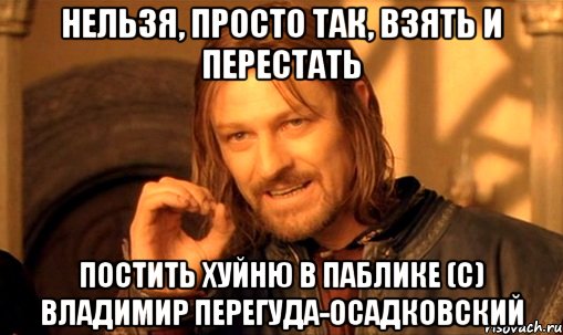 нельзя, просто так, взять и перестать постить хуйню в паблике (с) владимир перегуда-осадковский, Мем Нельзя просто так взять и (Боромир мем)