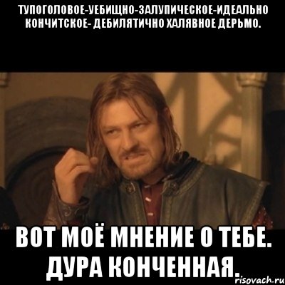 тупоголовое-уебищно-залупическое-идеально кончитское- дебилятично халявное дерьмо. вот моё мнение о тебе. дура конченная., Мем Нельзя просто взять