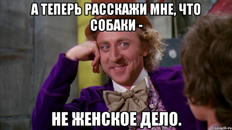 а теперь расскажи мне, что собаки - не женское дело., Мем Ну давай расскажи (Вилли Вонка)