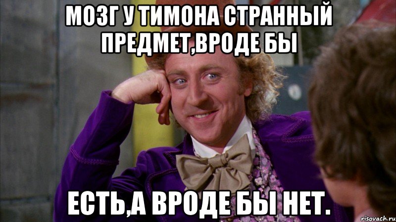 мозг у тимона странный предмет,вроде бы есть,а вроде бы нет., Мем Ну давай расскажи (Вилли Вонка)