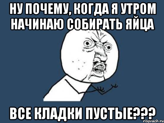 ну почему, когда я утром начинаю собирать яйца все кладки пустые???, Мем Ну почему