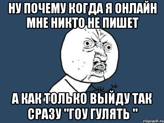 ну почему когда я онлайн мне никто не пишет а как только выйду так сразу "гоу гулять ", Мем Ну почему