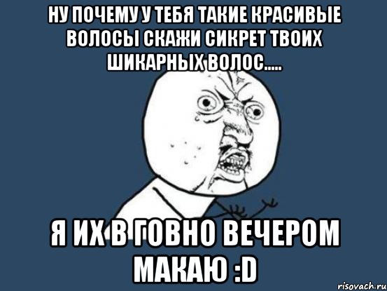 ну почему у тебя такие красивые волосы скажи сикрет твоих шикарных волос..... я их в говно вечером макаю :d, Мем Ну почему