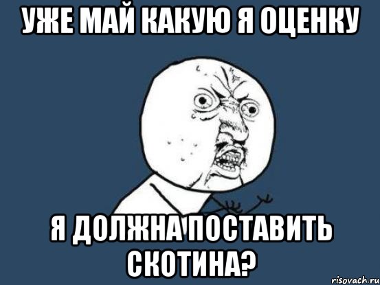 уже май какую я оценку я должна поставить скотина?, Мем Ну почему