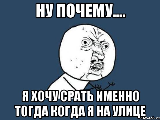 ну почему.... я хочу срать именно тогда когда я на улице, Мем Ну почему