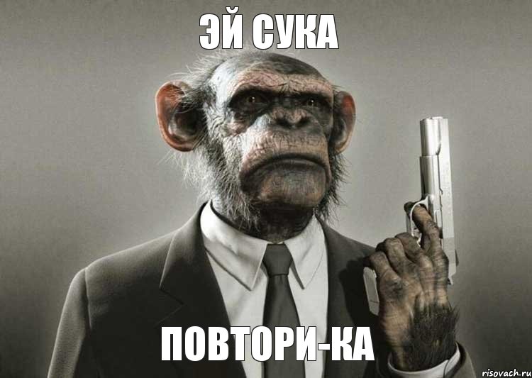 эй сука повтори-ка