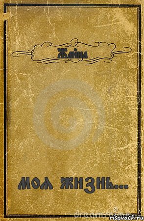 Жайна моя жизнь..., Комикс обложка книги