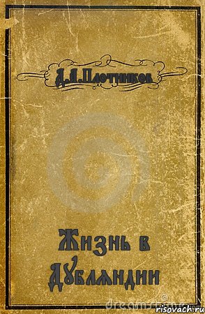 Д.А.Плотников Жизнь в Дубляндии, Комикс обложка книги